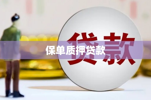 闻喜保单质押贷款