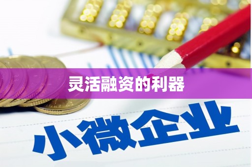 闻喜灵活融资的利器