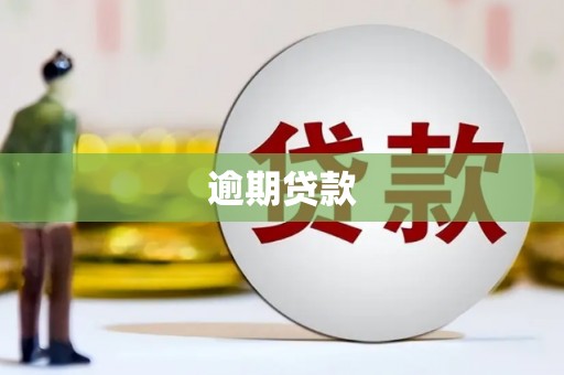 闻喜逾期贷款