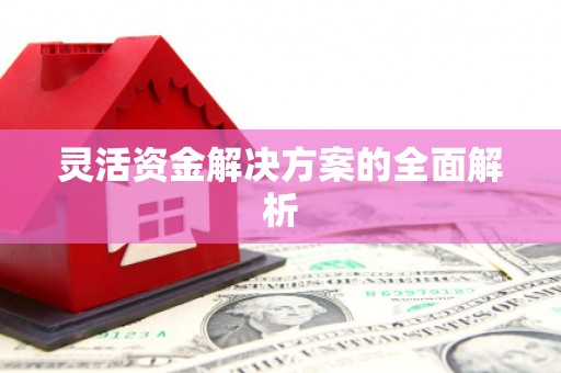 闻喜灵活资金解决方案的全面解析