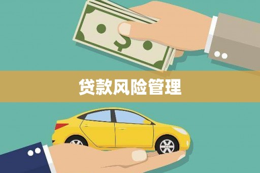闻喜贷款风险管理